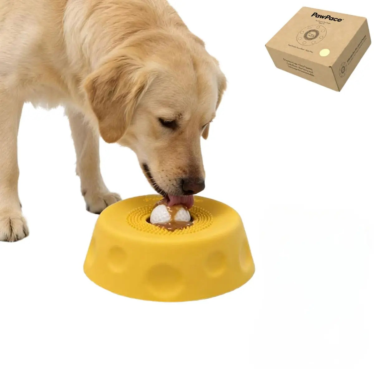 Golden retriever using a PawPace slow feeder